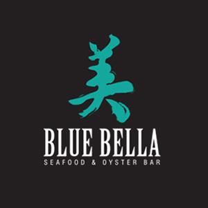 Blue Bella Pocha