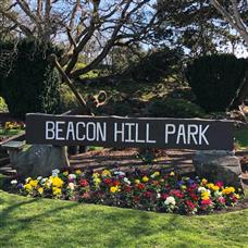 维多利亚碧根山公园（Beacon Hill Park）