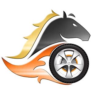 大隆金马汽车销售有限公司