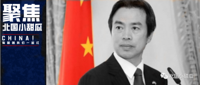 中国驻外大使去世：最后三天行程表曝光