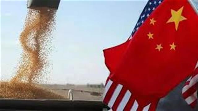 中国仅完成中美贸易协议约19%采购目标