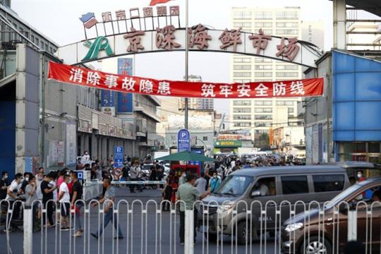 张文宏：事实上中国内地疫情已经结束