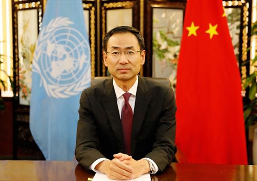 耿爽任常驻联合国副代表后 出席安理会视频会