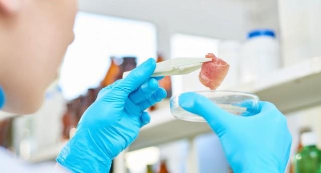 生物学家揭秘保持健康长寿的一个重要因素