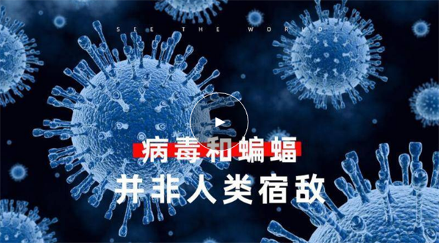 病毒和蝙蝠不是人类宿敌，甚至可能是朋友