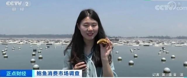 一斤“八头鲍”20多元！鲍鱼价格“腰斩”！