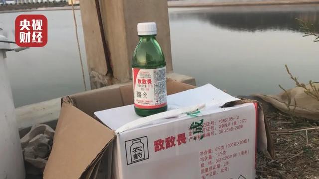315晚会曝光山东海参养殖大量使用敌敌畏