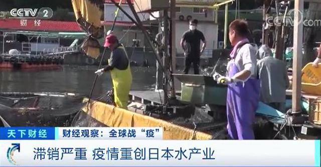 日本水产业遭重创！这种鱼价格暴跌99%！