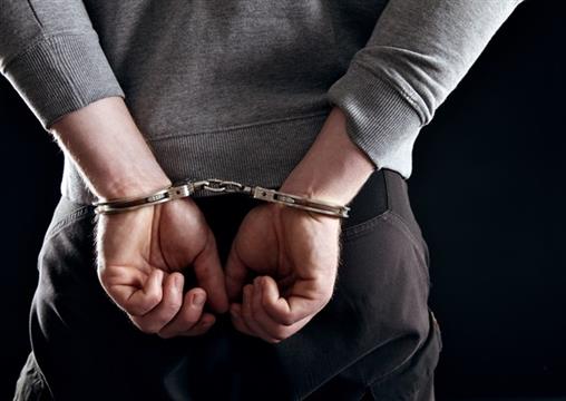华人女子不堪丈夫凌辱报警：结果自己却被捕