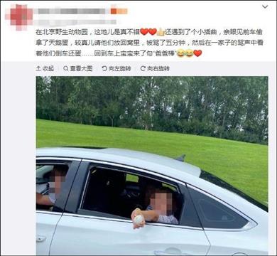 北京野生动物园游客强行拿走天鹅蛋 回应