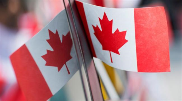 民调显示五成加拿大国民认为2020年是最糟糕一年