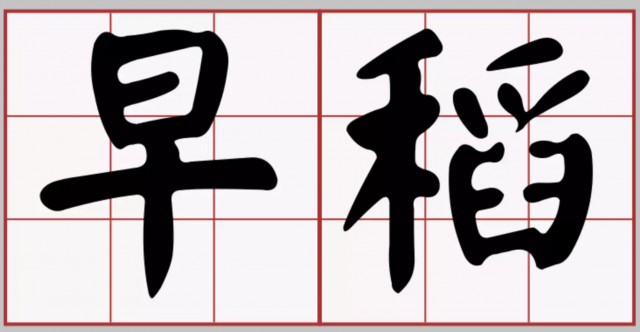 中国大陆闹粮荒? ？官方澄清谣言
