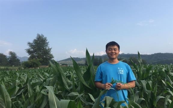 中科院物理博士返乡种地：比我想象中更难