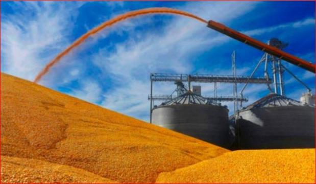 中国采购美国玉米 但仍离协议承诺相距甚远