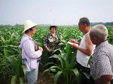 一年产粮够全国吃7天，小麦第一县为何还穷