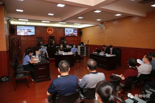 广西小学保安砍伤师生41人被判死刑