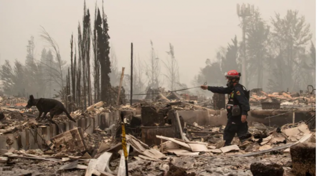 美国林火35人亡，BC呼吁人们减少外出