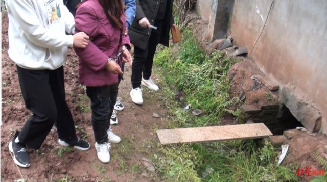 奶奶将两孙女推粪坑溺亡！称家人毒害自己！