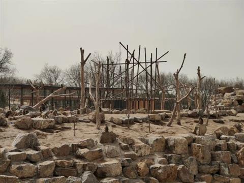 中看不中用？砸30亿改造的太原动物园遭质疑