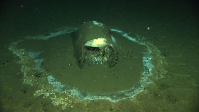 美南加州海底疑现2.5万桶剧毒物！近生物已染病