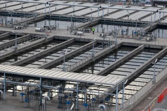 纽约下水道发现4种新型毒株 或削弱疫苗有效性